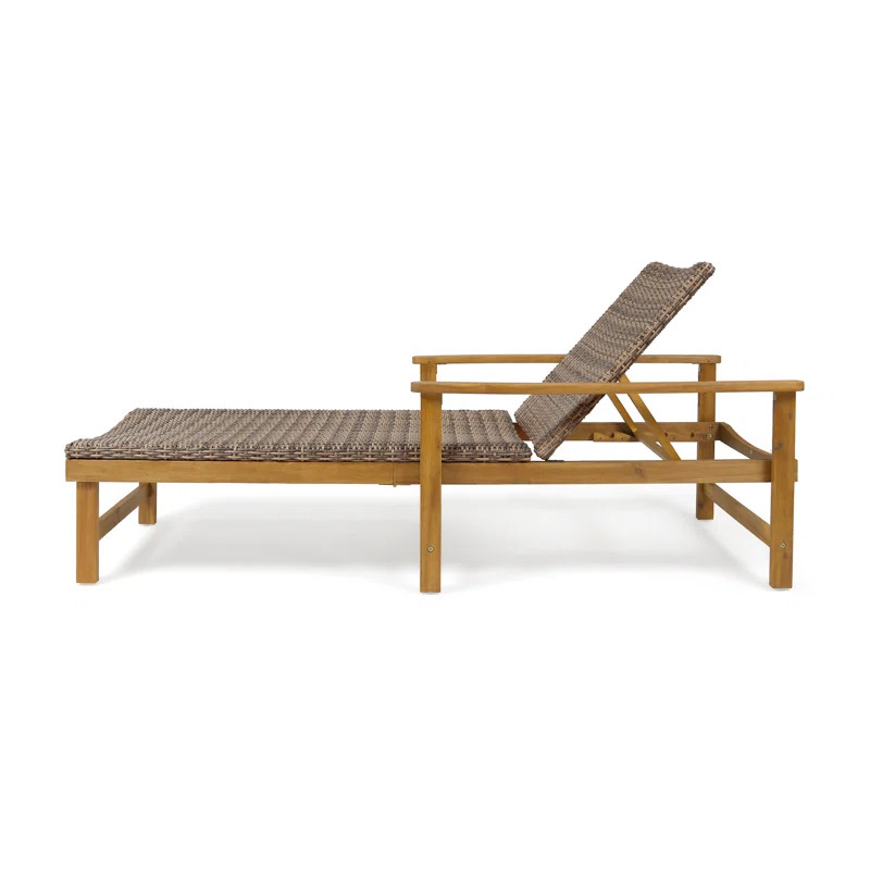 Amant Outdoor Chaise Lounge | Wayfair North America