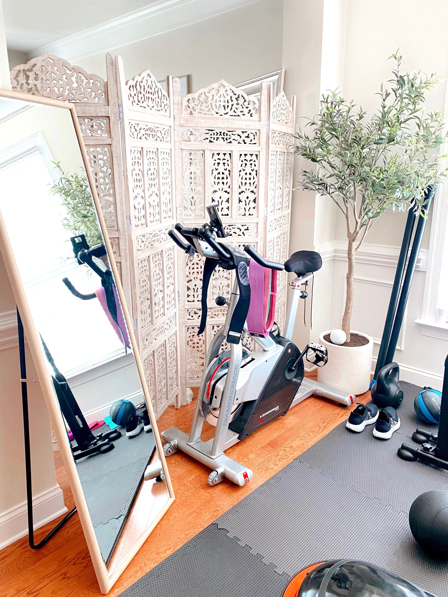 Home Gym 💗 

Treadmill /Sole F63 
DB Method (not linkable)
Terra Core (not linkable)
Bike (Diamondback)

Gym equipment, home gym, treadmill, workout, fitness, home decor, activewear 

#LTKfit #LTKhome #LTKsalealert