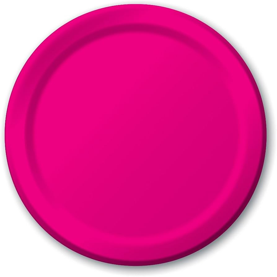 Creative Converting Touch of Color 24 Count Paper Banquet Plates, Hot Magenta | Amazon (US)
