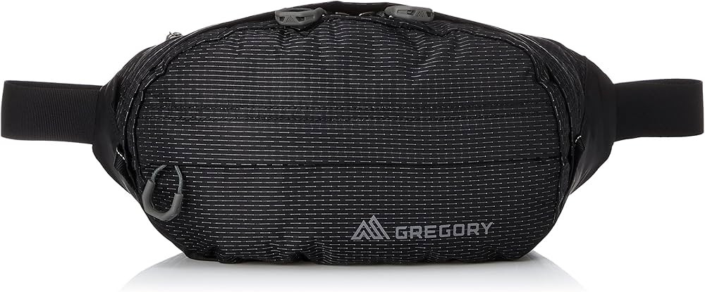 Gregory Mountain Products Nano Waistpack | Amazon (US)