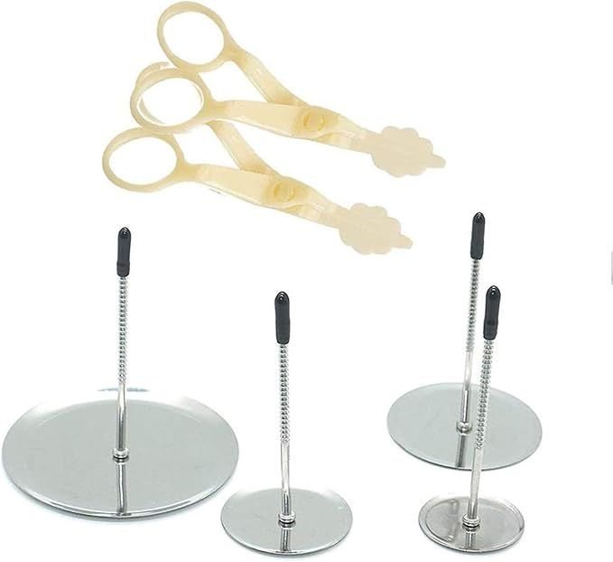 Cake Flower Nail Lifters Set - Stainless-Steel Baking Tools,6 Pcs,Icing Flowers Decoration | Amazon (US)