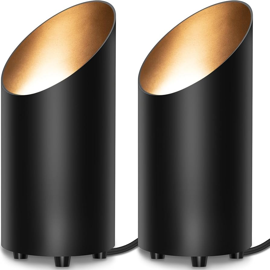 SUNVIE 2 Pack Up Lights Indoor Floor Can Light Uplighting Indoor Spotlight with 2700K GU10 Bulb A... | Amazon (US)