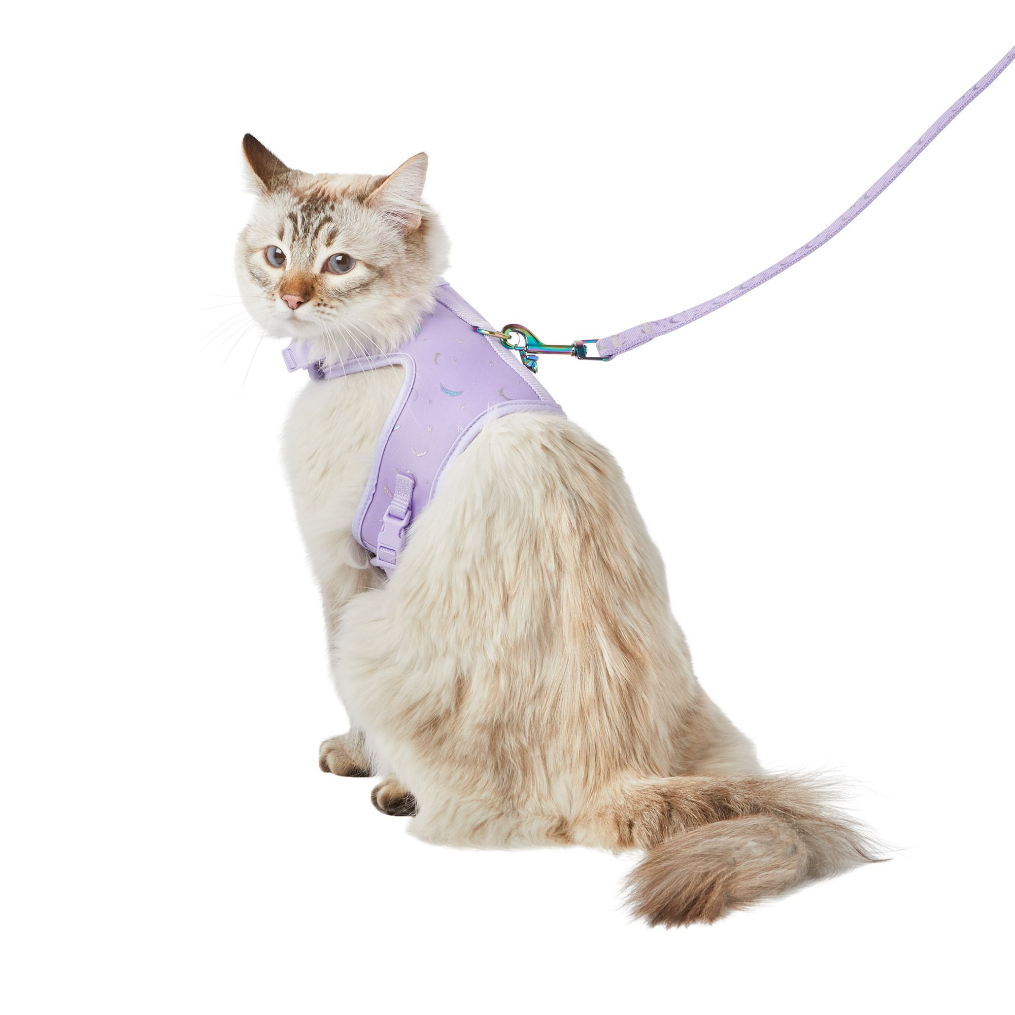 Whisker City® Purple Moons Cat Leash & Harness Combo | PetSmart