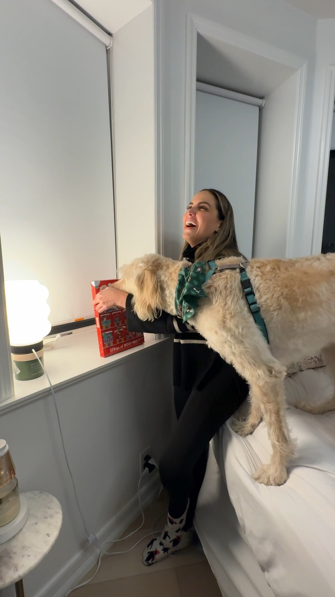 I love this dog advent calendar!! 

#LTKGiftGuide #LTKHoliday #LTKSeasonal