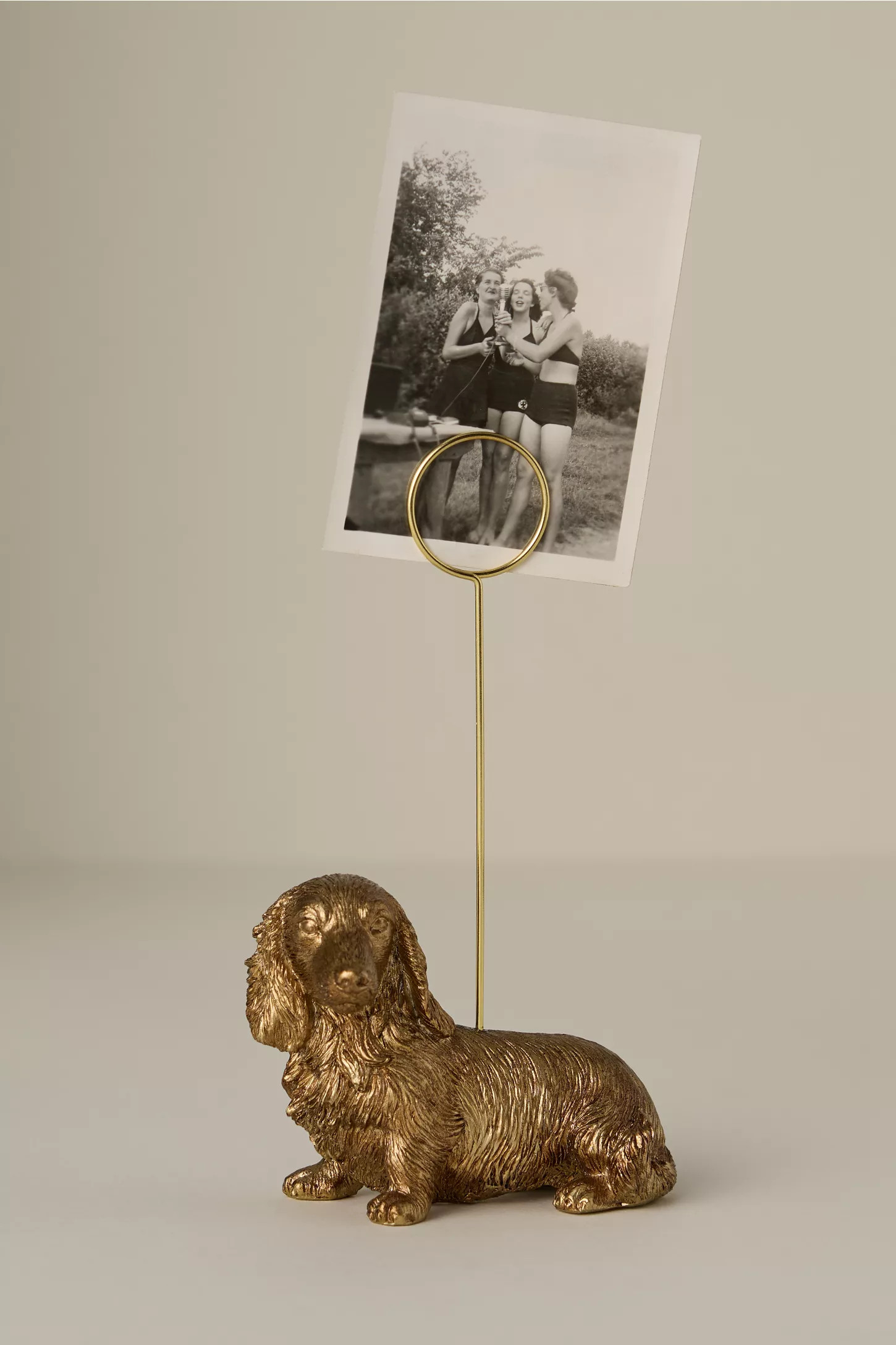 Animal Icon Photo Holder: Dog Edition | Anthropologie (US)
