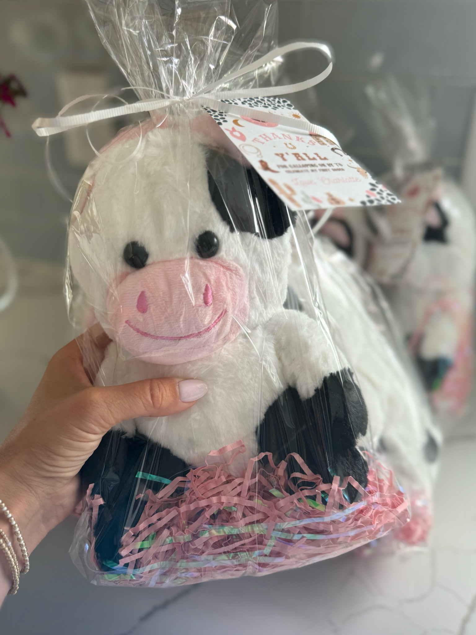 “my first rodeo” 1st birthday party favors 