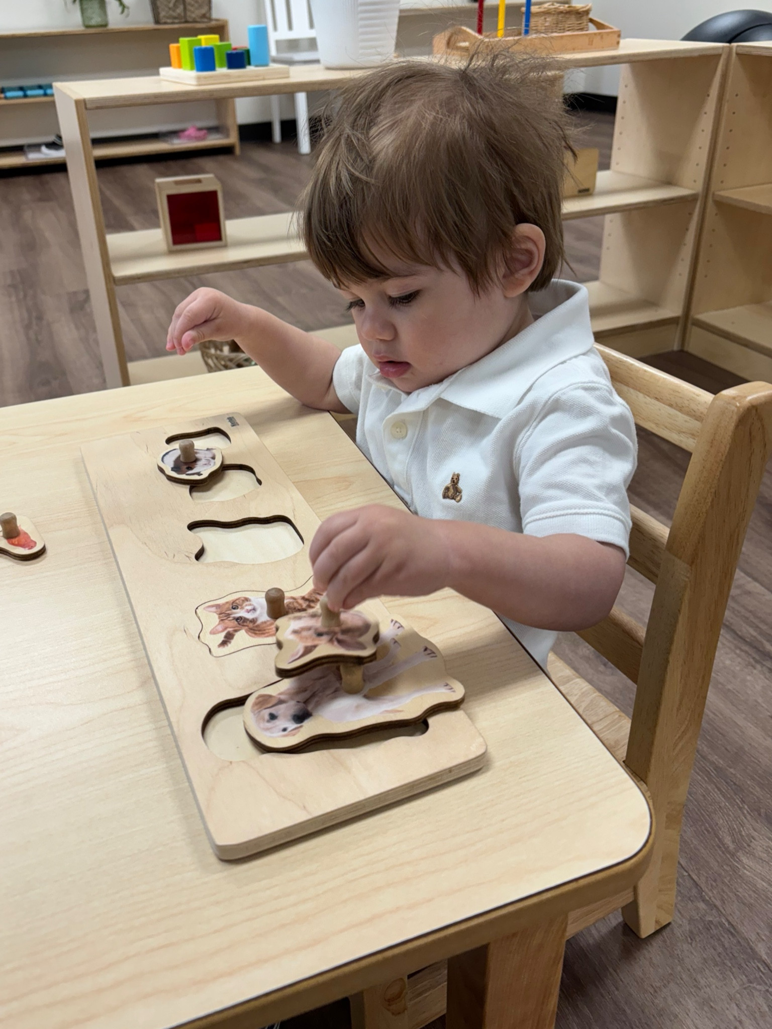 Montessori school boy busy at work. P is wearing a white polo from gap and black cotton shorts from old navy. Linked similar montessori style puzzles below.

#LTKkids #LTKsalealert #LTKfindsunder50