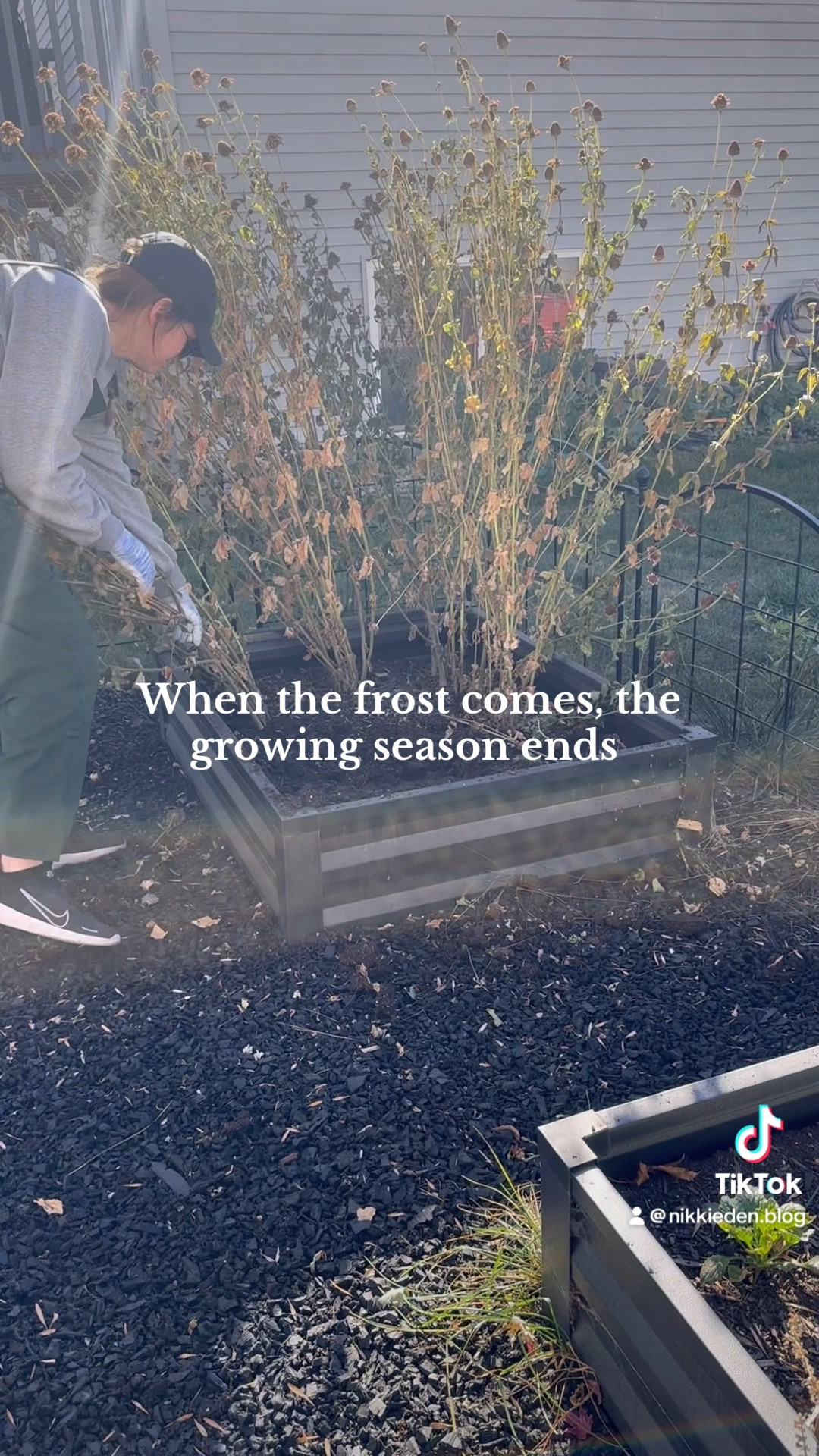 When the frost comes the growing season ends 🤍

Cleaned out my flower beds and began prepping them for winter. I’m excited to rake the leaves and add them in as natural compost for the winter months to prepare for the next growing season 🍂

#cutflowers #flowergarden #raisedbeds #raisedbedgarden #winterprep #winterpreparation #gardening #cutflowergarden #cutflowergardening #ootd #overalls

#LTKHome #LTKSeasonal
