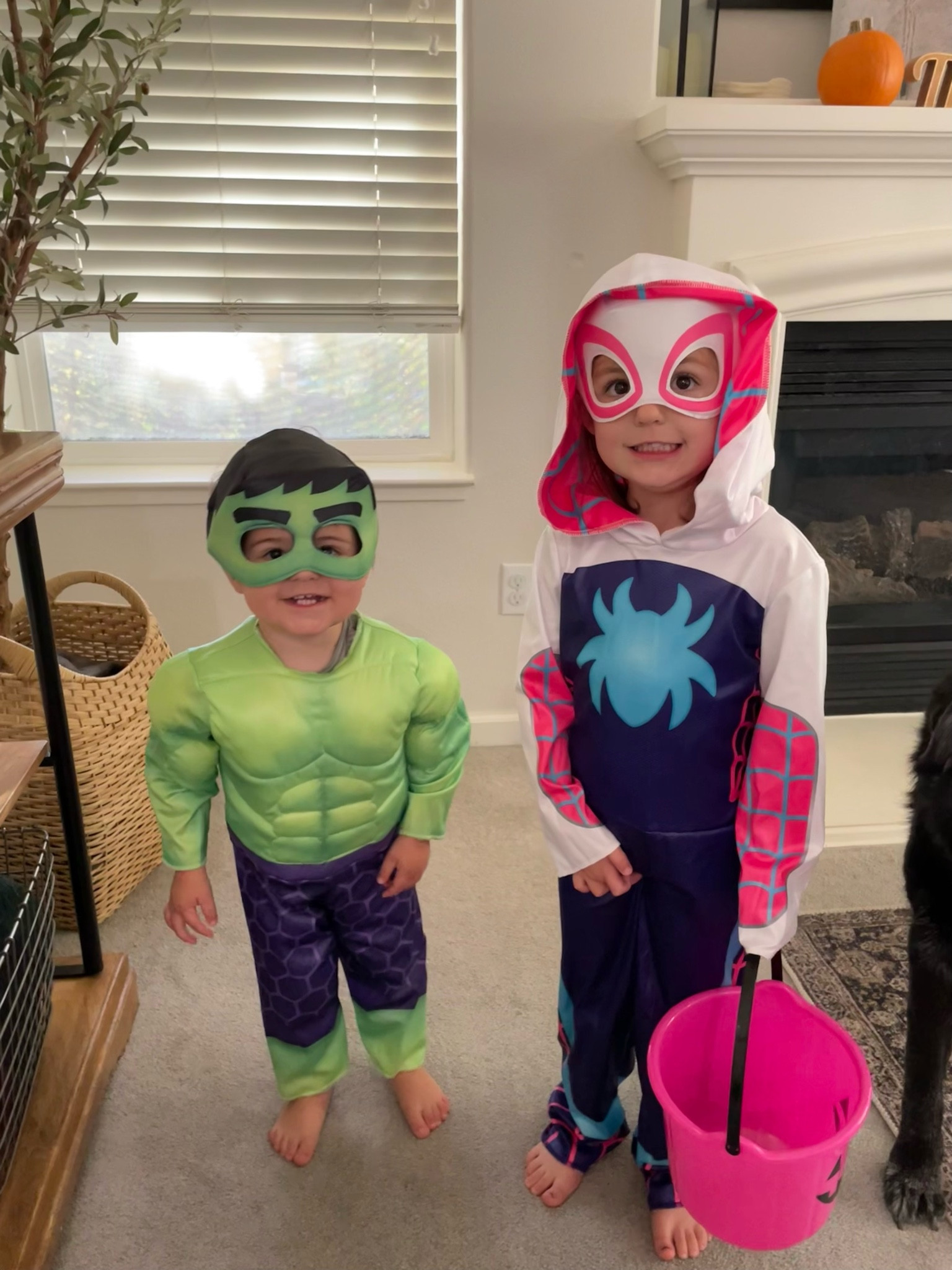 Toddler Halloween Costumes!!

My daughter is obsessed with Spidey, particularly Ghost Spider! 🕷️ 



#LTKOver40 #LTKHalloween