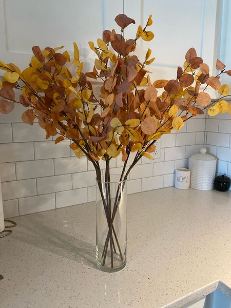 Fall floral arrangement from amazon 🍂 

#LTKfindsunder50 #LTKhome #LTKSeasonal