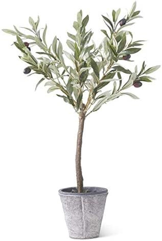 K&K Interiors 16328A 24 Inch Olive Tree W/Gray Wash Pot, Green | Amazon (US)