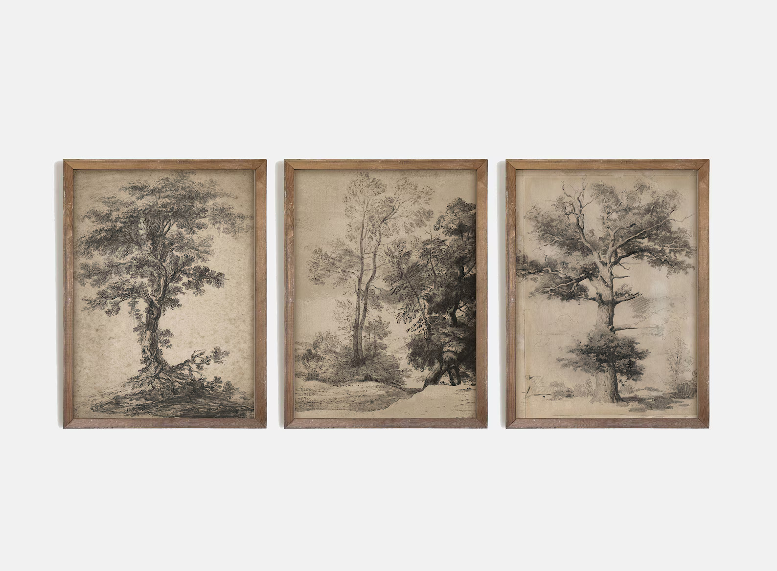 Gallery Wall Art Set of 3, Vintage Tree Sketch, Antique Tree Drawings, Botanical Art, Nature Sket... | Etsy (US)
