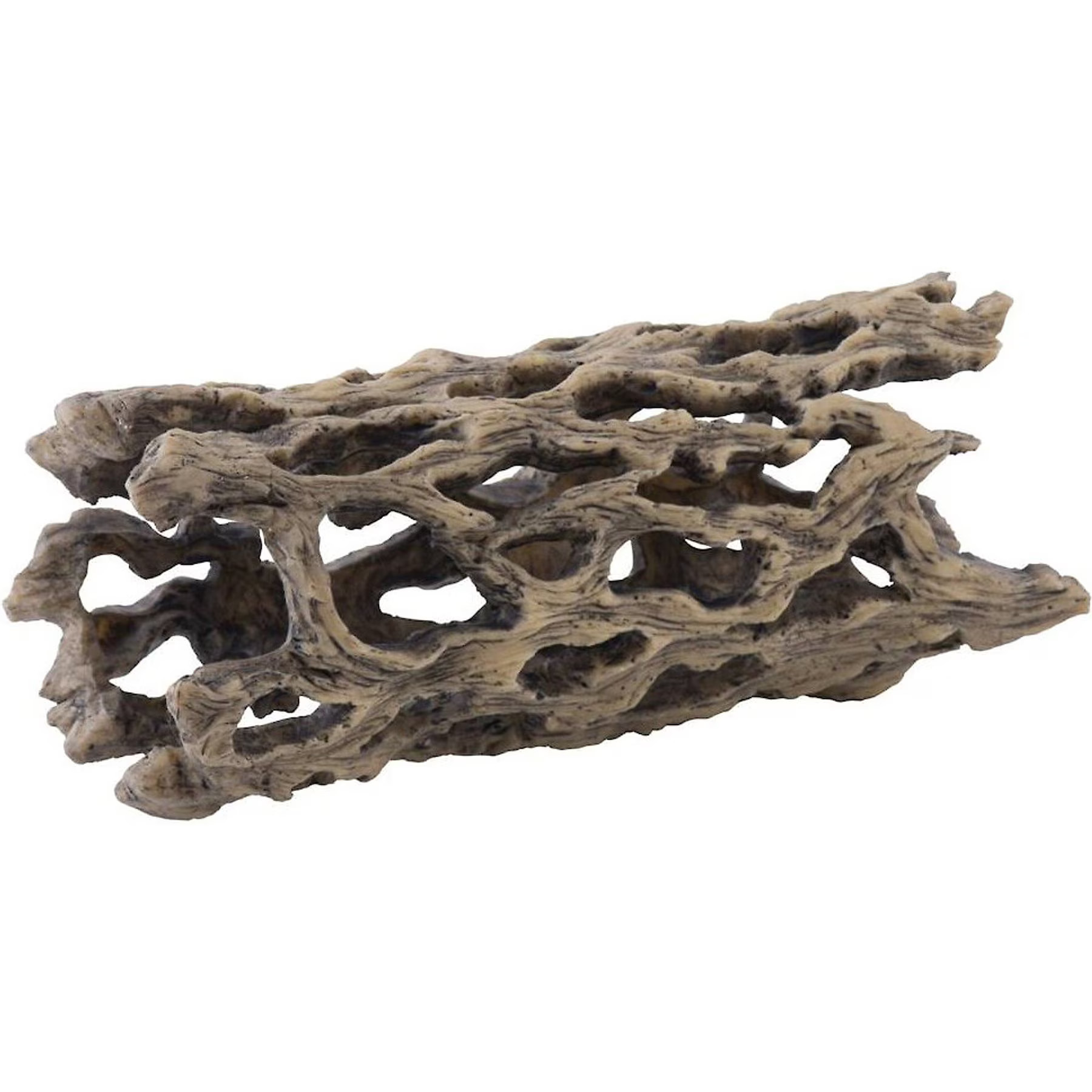 Exo Terra Cholla Cactus Skeleton Reptile HIdeout, Medium | Chewy