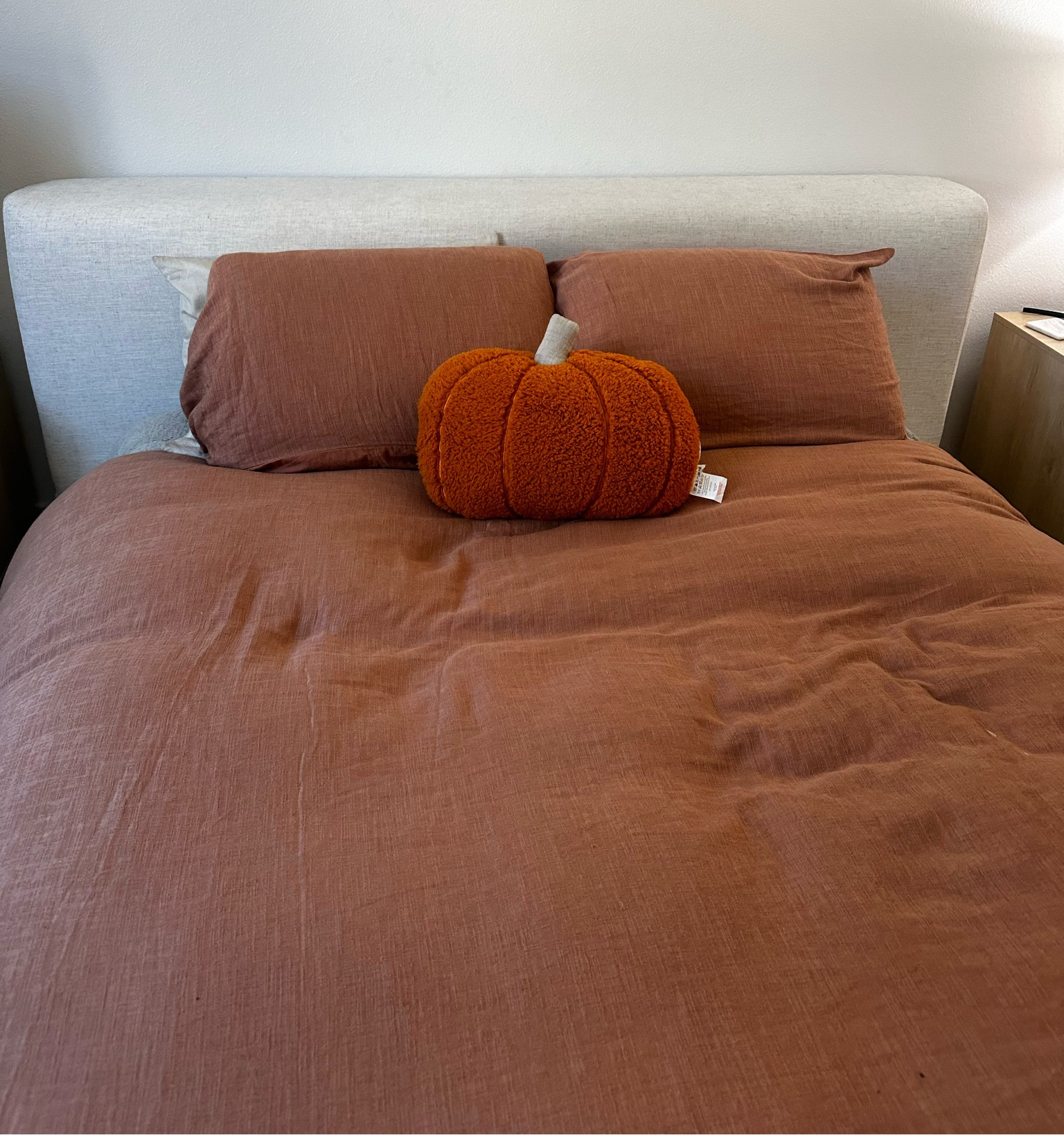 Starting to decorate for fall early!! This pumpkin pillow is ADORABLE!!


fall decor 

#LTKSeasonal #LTKFindsUnder100 #LTKParties