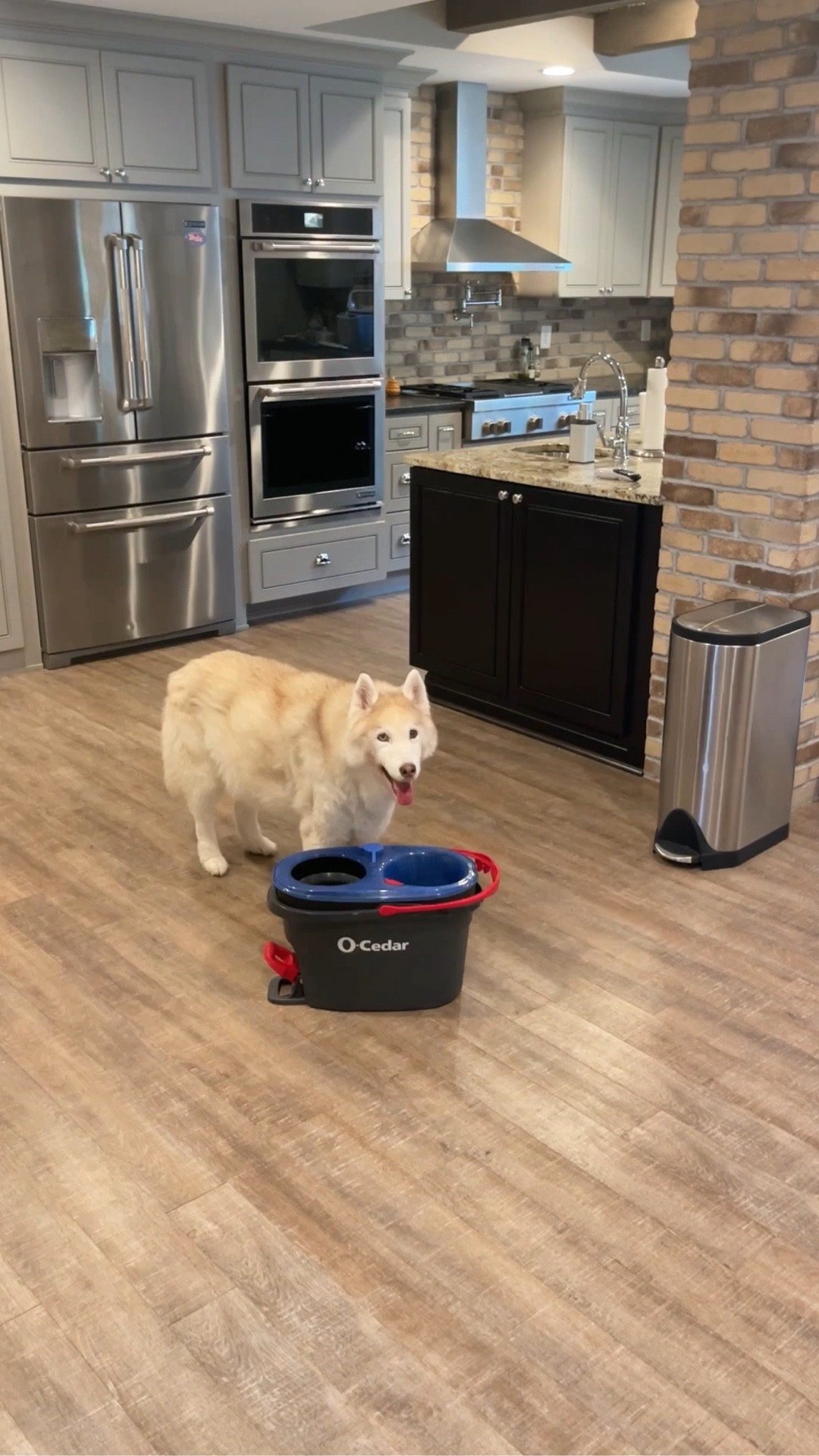 #floorscrub #spinmopcleaning #dawndishsoap #floorcleaningtips #cleaningmotivation #deepcleaninghack #methodicalmuses #pushbroom