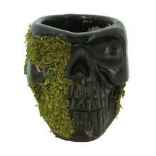 5.5" Cement Skull Pot with Moss by Ashland® | Michaels Stores