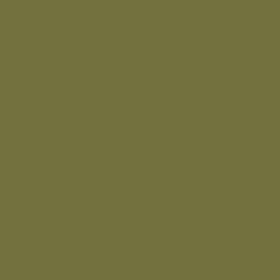 Relentless Olive (6425) - Paint Sample | Samplize