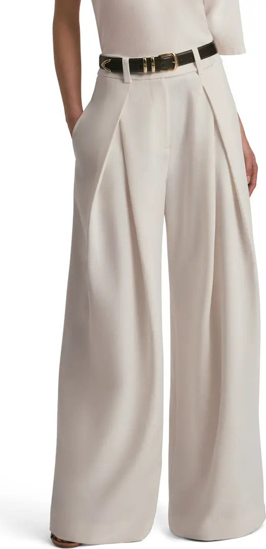 Pleated Wide Leg Pants | Nordstrom