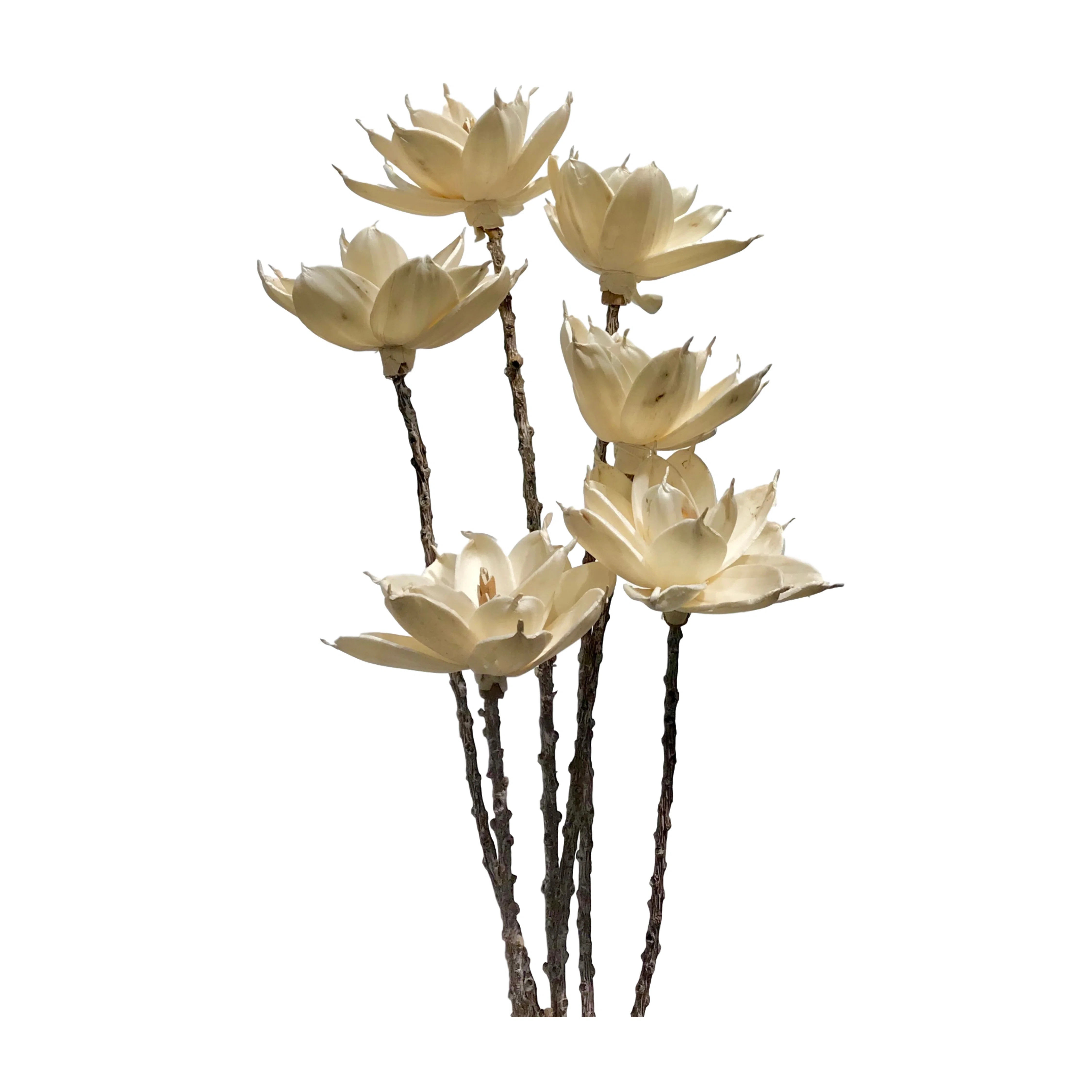 Magnolia Arrangement | Wayfair North America