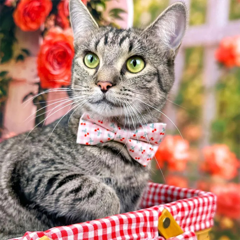 Cherry Gingham Bow Tie Cat Collar Set - "cherry Jubilee" - Pink Cherries Cat Collar + Bowtie / Sp... | Etsy (US)