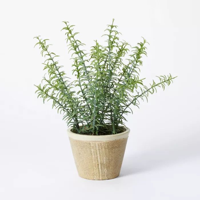 Potted Rosemary - Threshold™ designed with Studio McGee | Target