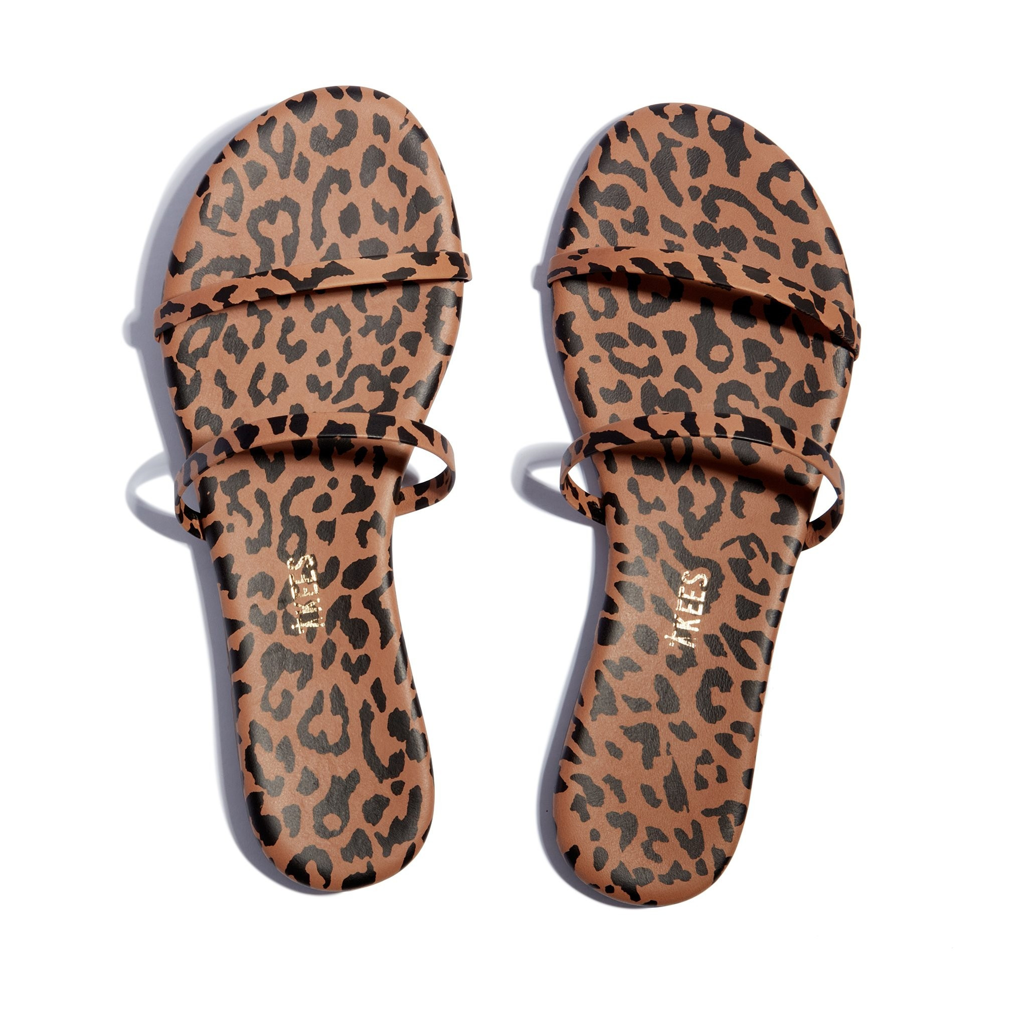 Gemma Cheetah | TKEES