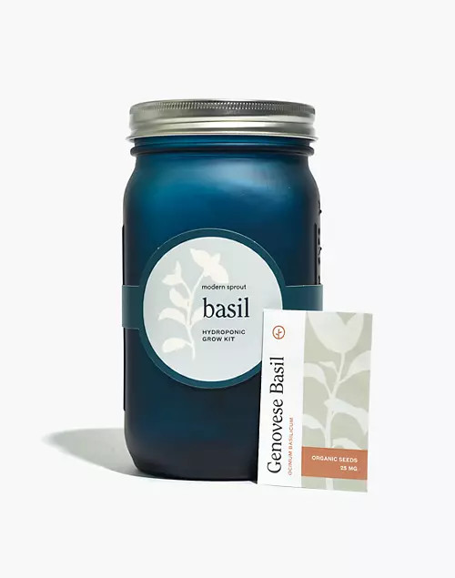 Modern Sprout® Indoor Garden Jar | Madewell