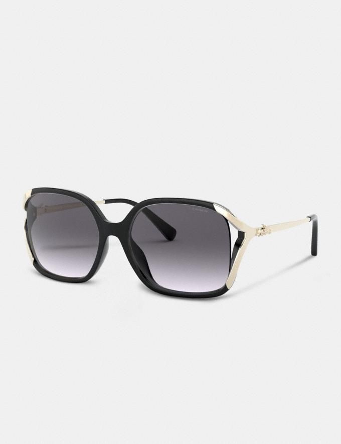 oversized horse and carriage sunglasses | Coach (US)