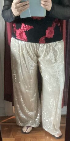 Anewsta Women Straight Leg Casual Elastic Waist Loose Sequin Embellished Flowy Pants | SHEIN