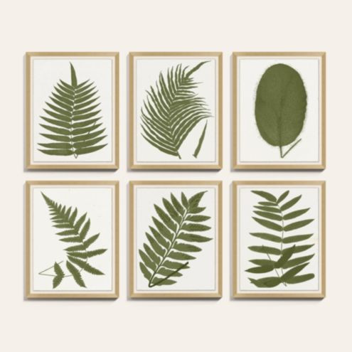 Fern Leaf Sage Art | Ballard Designs, Inc.