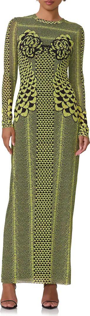 Didi Long Sleeve Mesh Maxi Dress | Nordstrom