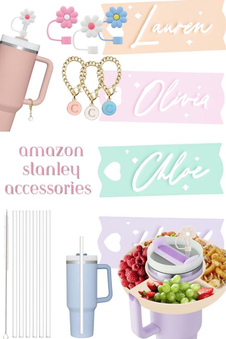 Super cute and affordable Stanley accessories! Quick shipping! 

#LTKfindsunder50 #LTKstyletip #LTKfamily