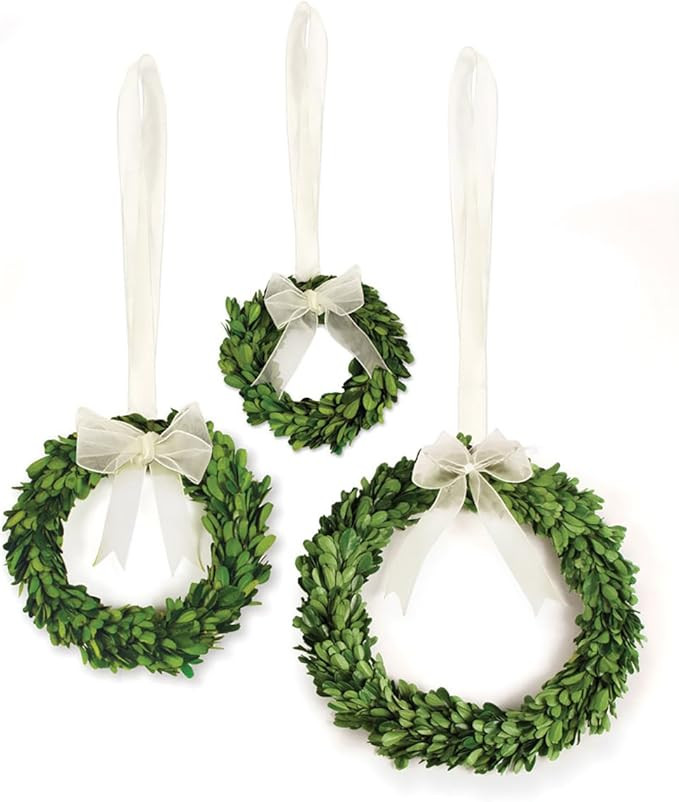 Preserved Boxwood Preserved Boxwood Wreath with White Ribbon, Set of 3 | Amazon (US)