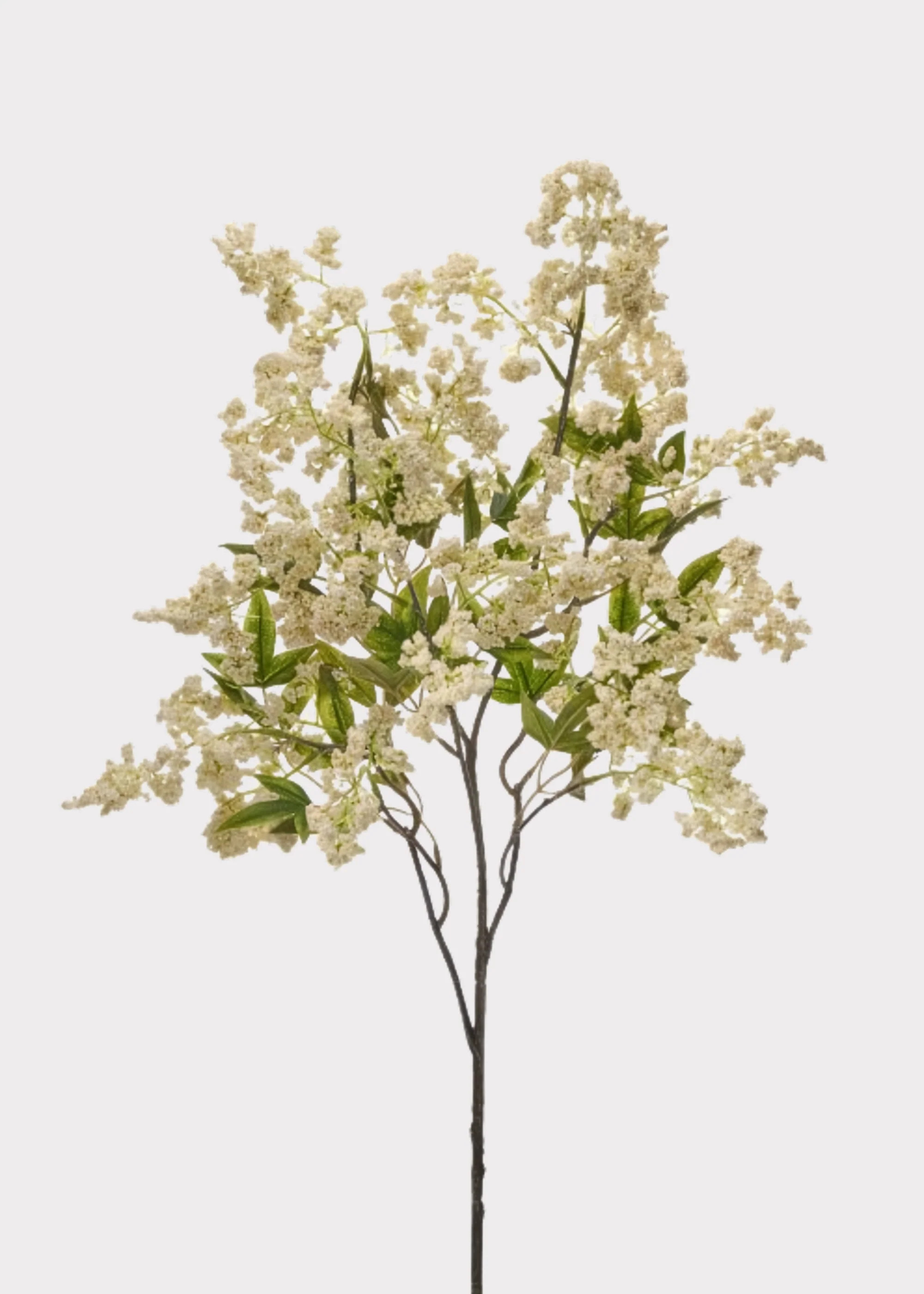 Cream Artificial Wild Plum Berry Branch - 43 | Afloral