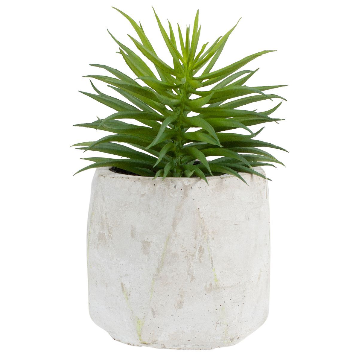 Northlight 5.5" Potted Artificial Succulent in Cement Pot | Target