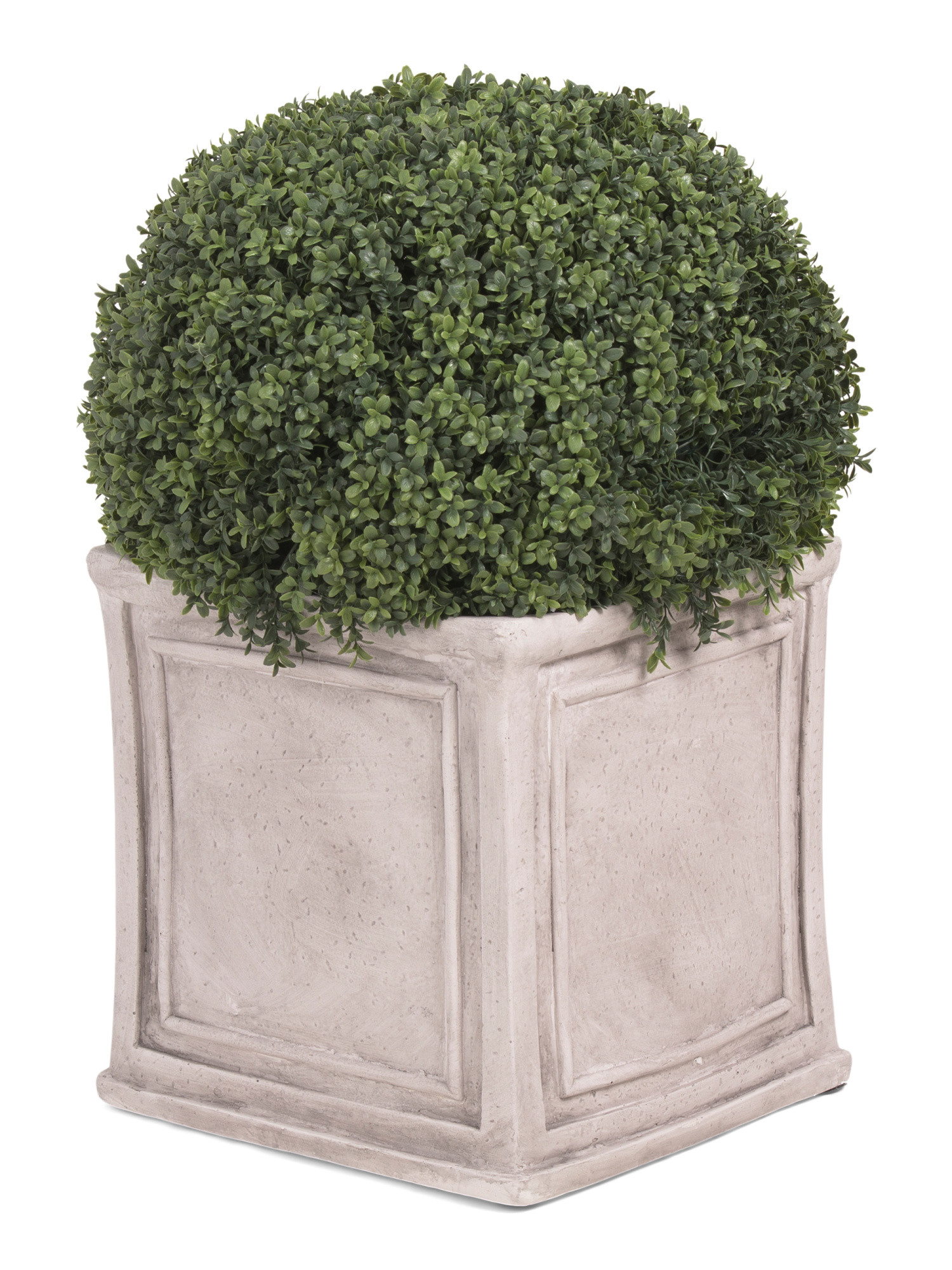32in Uv Resistant Outdoor Safe Boxwood In Planter | Plants & Planters | Marshalls | Marshalls