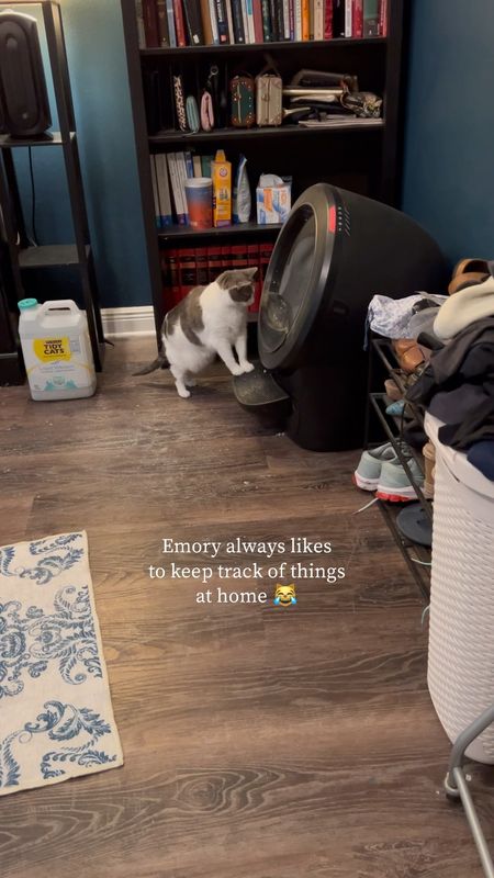 I got a notification that The Litter Robot cycle was interrupted 😹 Emory likes to keep track of things at home, and that includes checking out the Litter Robot when it starts to cycle, thus pausing the cycle 😹 

#LTKVideo #LTKhome #LTKfamily
