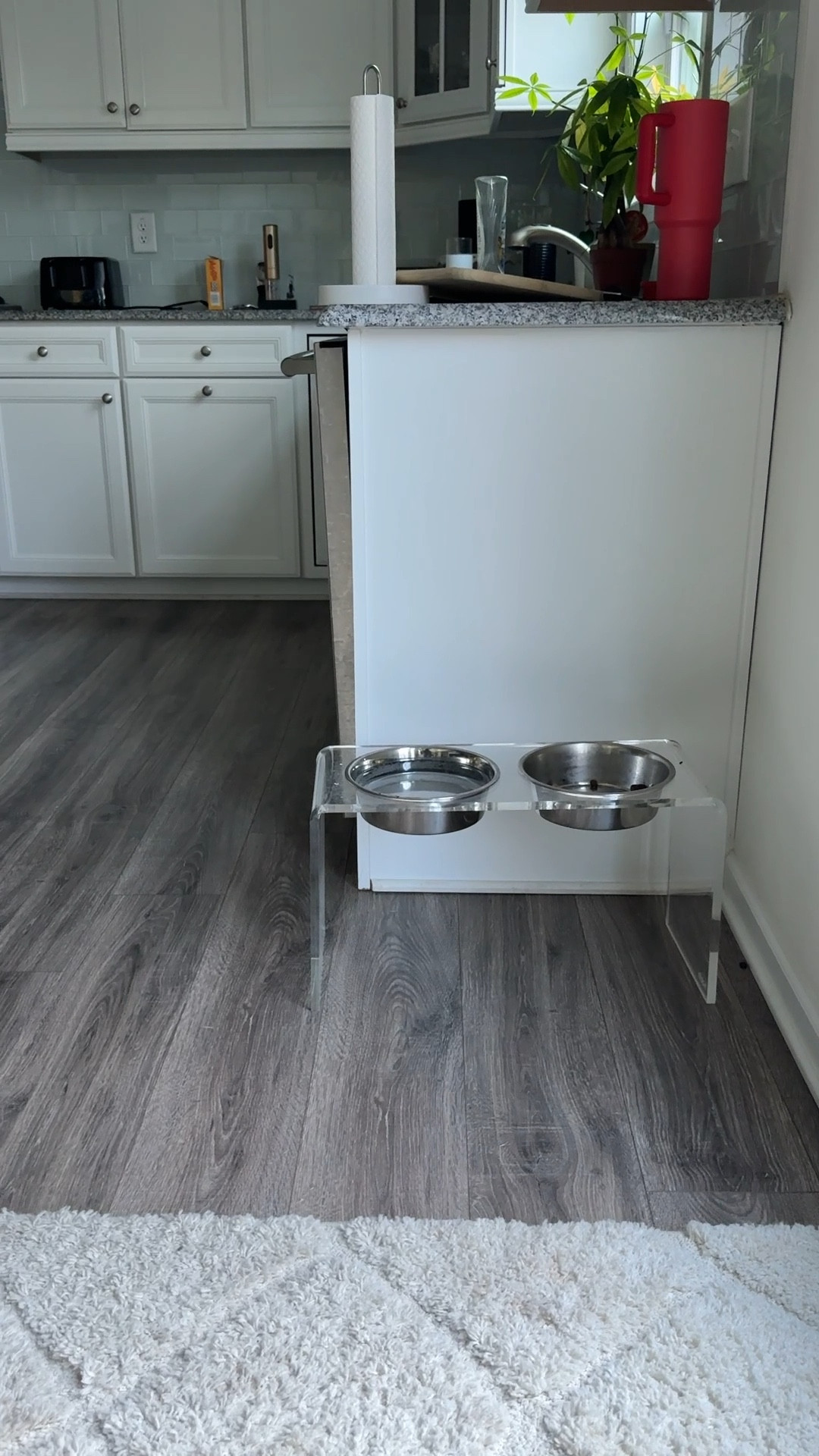 The best raised dog bowl stand! George loves it🐩