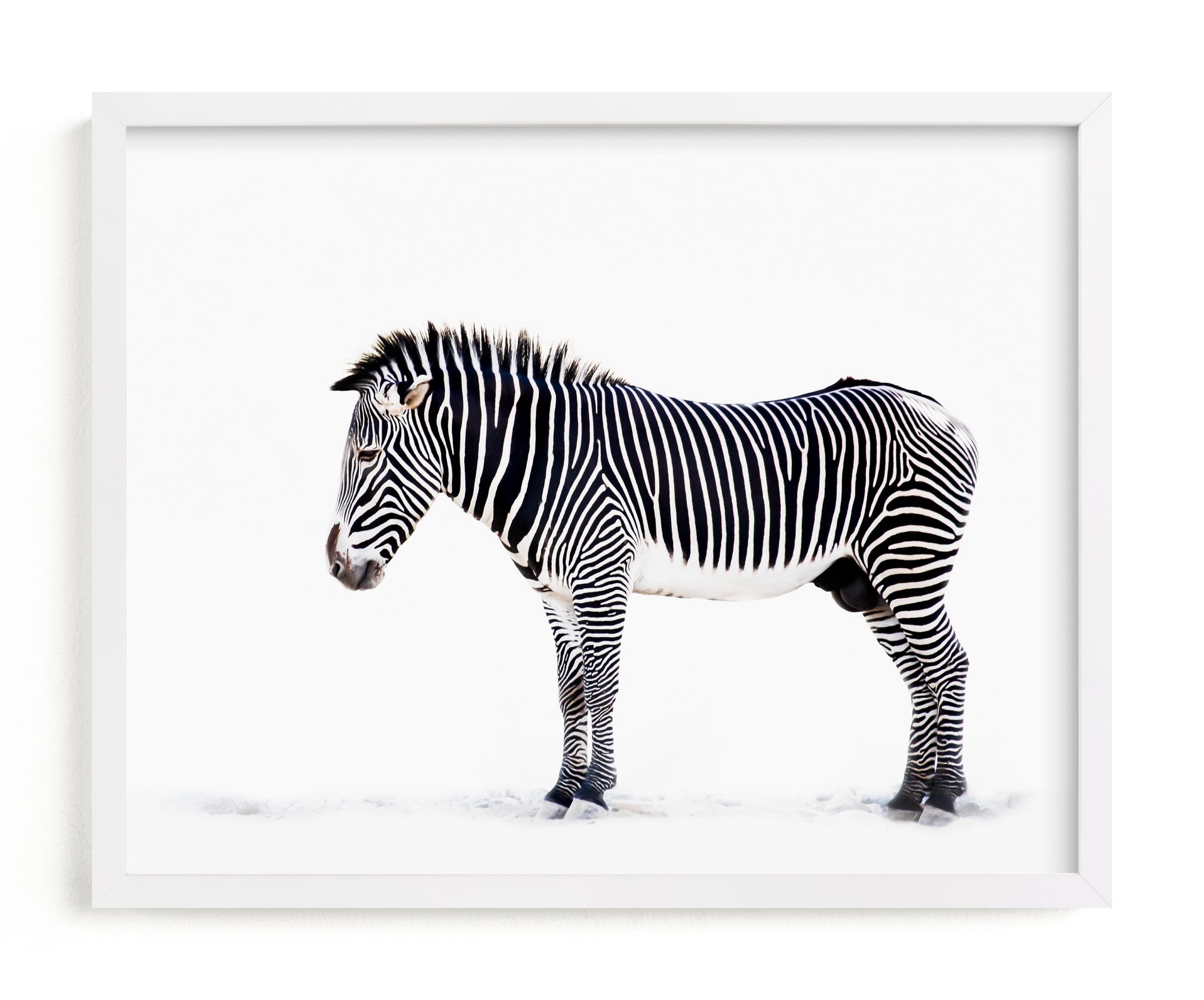 "Counting Stripes" - Photography Limited Edition Art Print by Lisa Sundin. | Minted