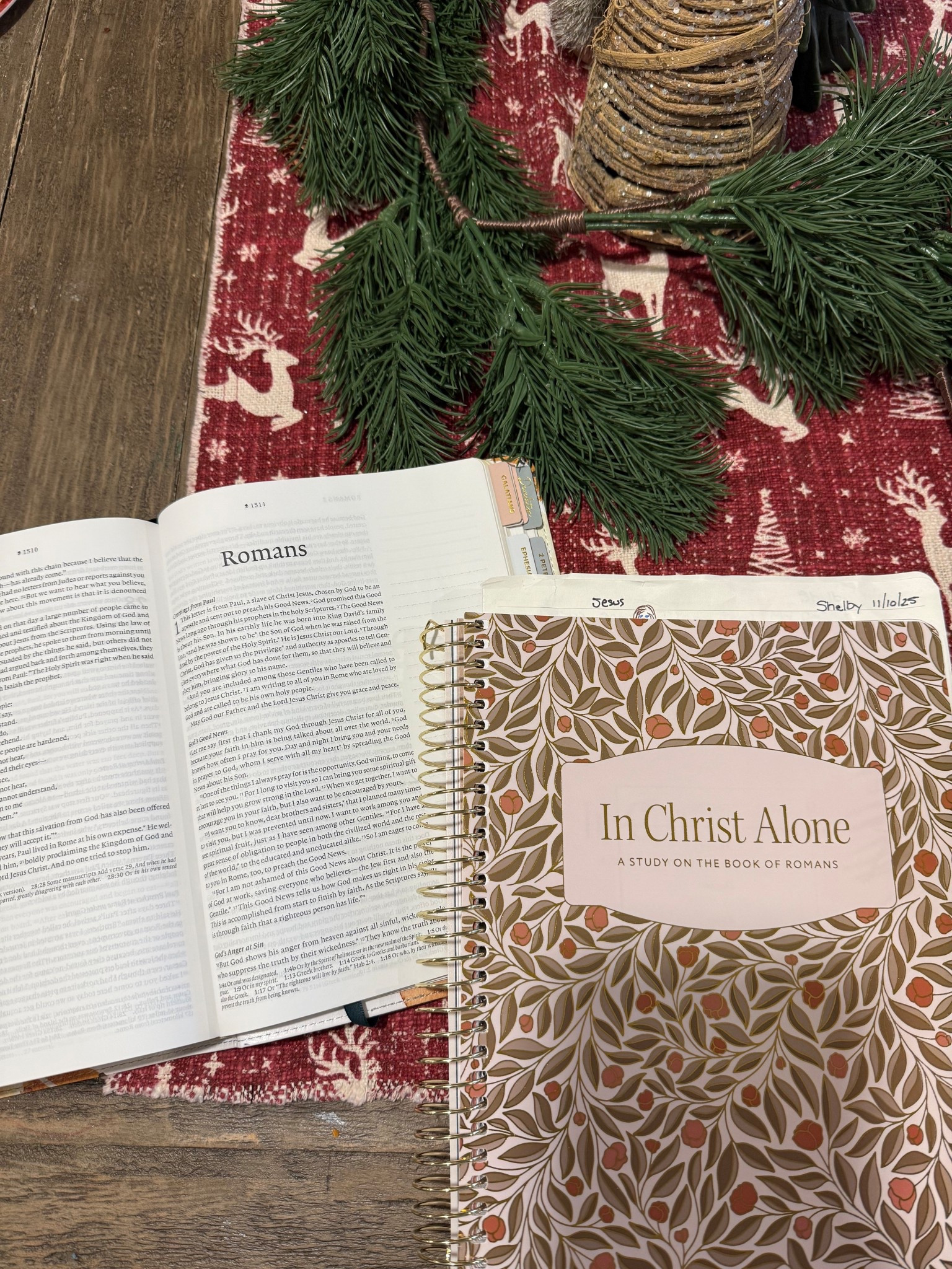 my favorite studies are on MEGA SALE!!! my code stacks for an additional 10% off, if you use code shelbyanenson it’ll save ya 🤝🏼  this is a large collection of my favorites!

#LTKCyberWeek #LTKGiftGuide #LTKHoliday