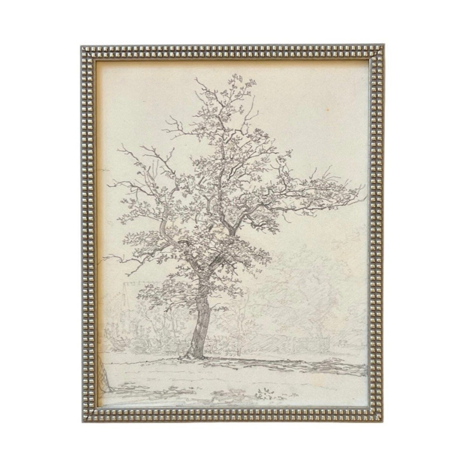 Vintage Framed Canvas Art  // Framed Vintage Print // Vintage Painting // Black White Tree Sketch... | Etsy (US)