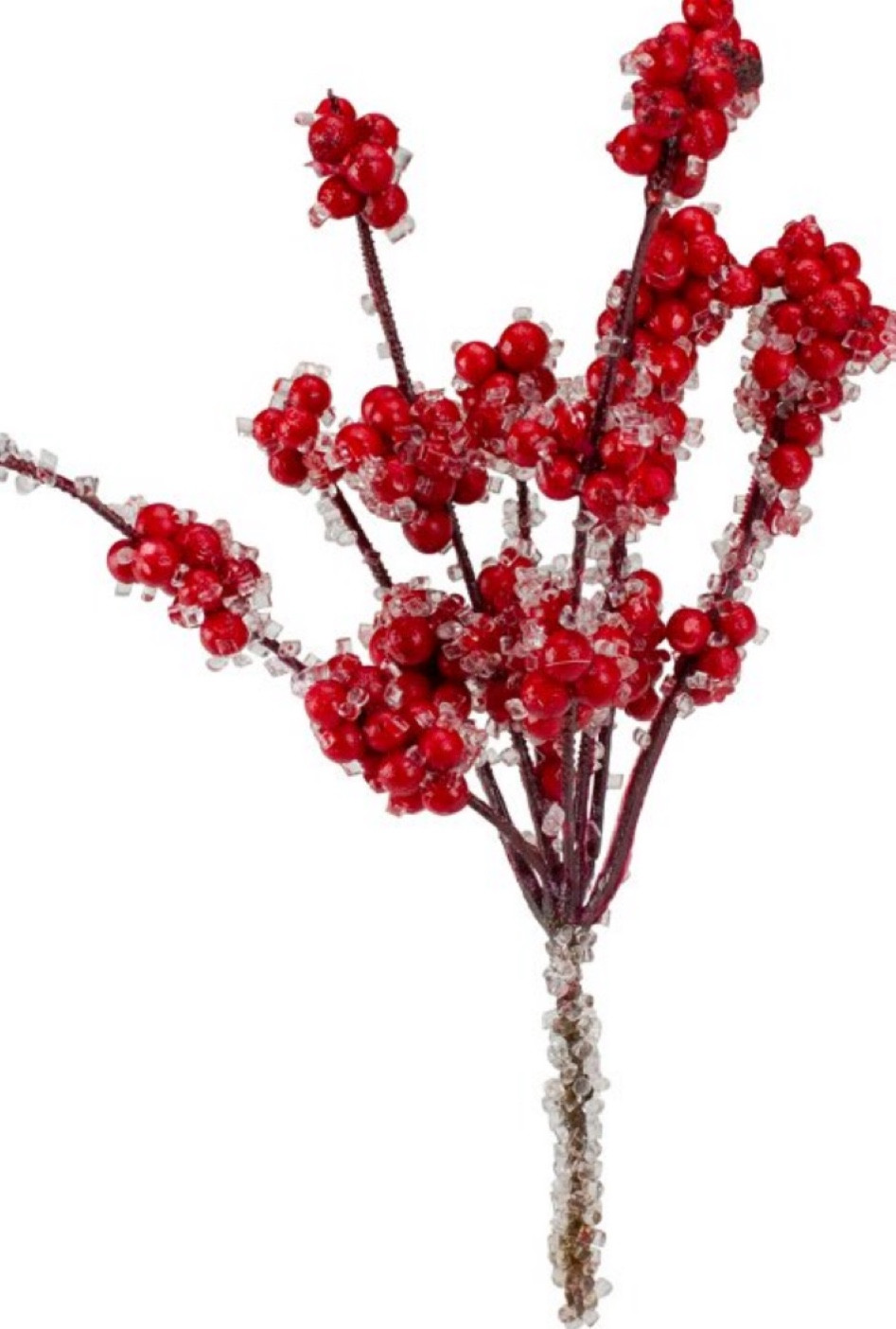 Target- Red Berry Iced Stems

#LTKhome #LTKHoliday