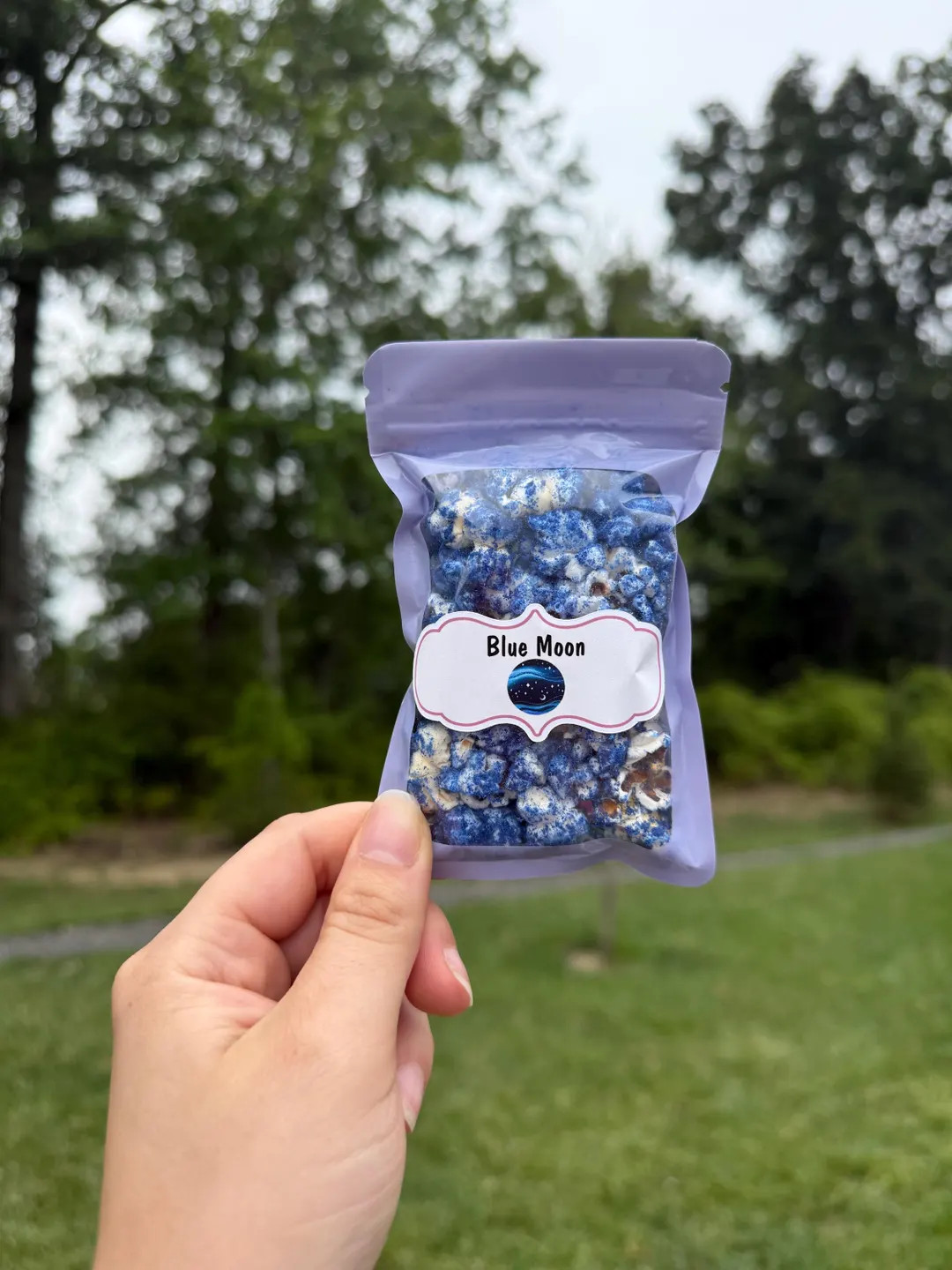 Blue Moon- Hermit Crab Popcorn - Healthy Snacks - Hermit Crab Food | Etsy (US)