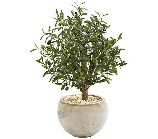 31" Olive Artificial Tree in Bowl Planter by Nearly Natural | QVC