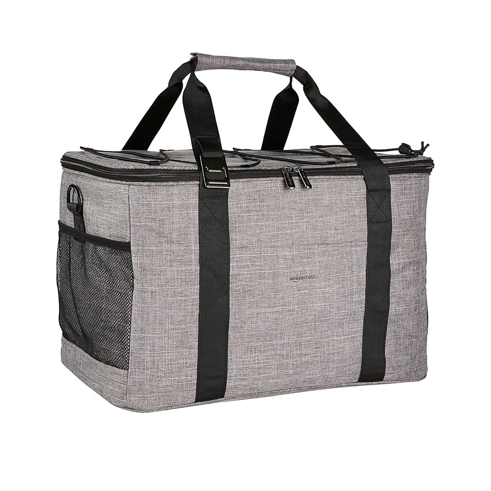 Amazon Basics Soft Insulated Cooler | Amazon (US)