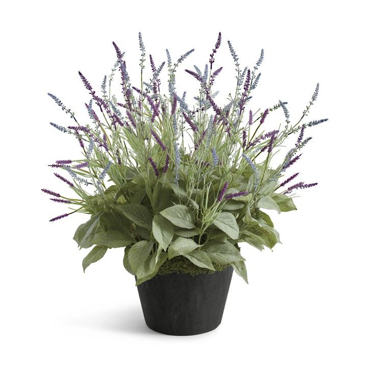 Lavendula Urn Filler | Grandin Road | Grandin Road