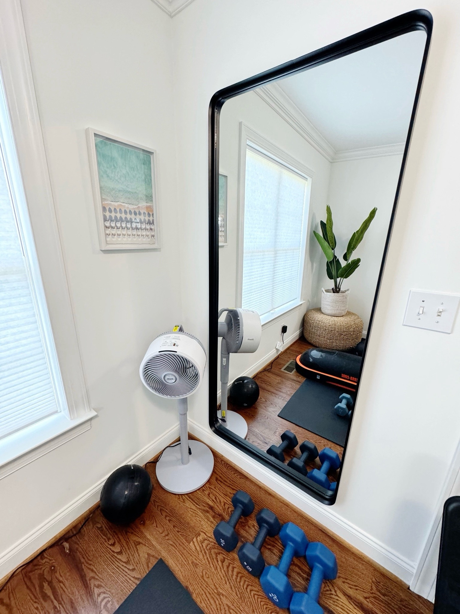 Home Gym 🩵

Fan, Home, gym, mirror 

#LTKStyleTip #LTKHome #LTKFitness