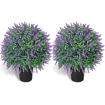 WAYNHUI Tall Artificial Lavender/Rose Topiary Ball Tree Set of 2 Pack Potted Bushes UV Resistant ... | Amazon (US)
