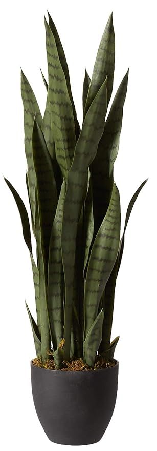 Nearly Natural 4855 Sansevieria Plant with Black Planter, Green | Amazon (US)