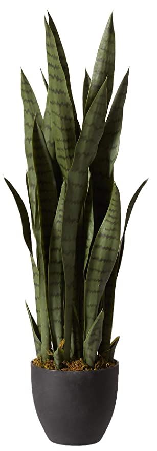 Nearly Natural 4855 35in. Sansevieria with Black Planter | Amazon (US)